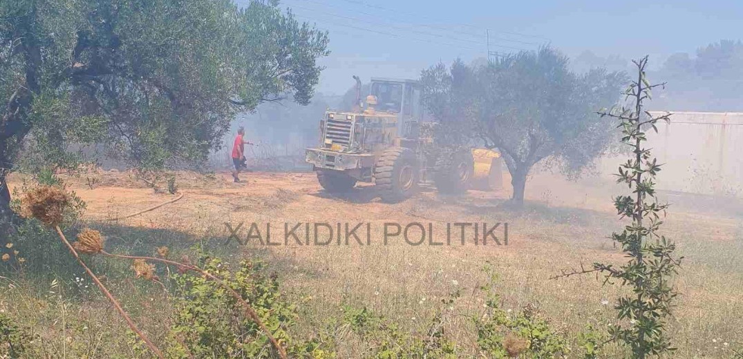 Συναγερμός στη Χαλκιδική: Φωτιά ξέσπασε στη Νικήτη - Επιχειρούν και εναέρια μέσα (βίντεο - φωτ.)