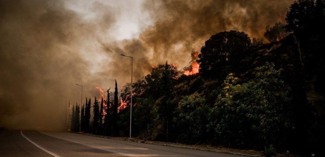 Λαμία: Γύρω από την πόλη η φωτιά - Ολονύχτια μάχη των επίγειων δυνάμεων στην ανατολική πλευρά (βίντεο & φωτ.)