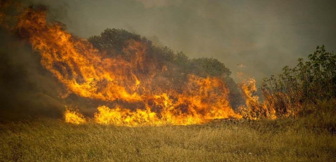 Ξέσπασε πυρκαγιά σε αγροτοδασική έκταση στη Μεσσηνία