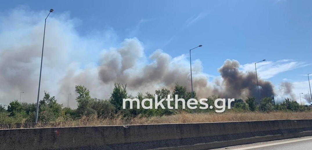 Θεσσαλονίκη: Υπό μερικό έλεγχο η φωτιά στο δήμο Δέλτα