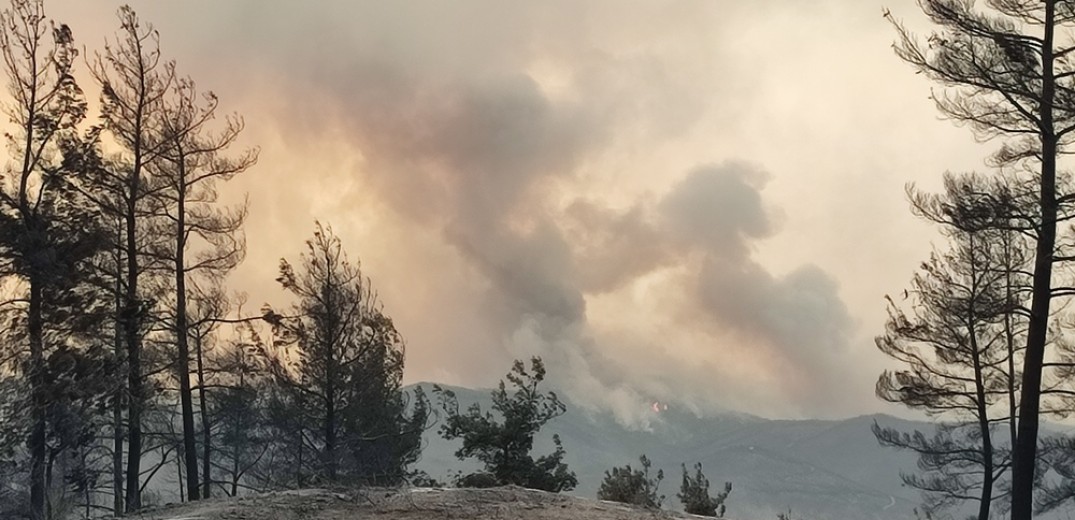 Για ενδέκατη ημέρα καίει το πύρινο μέτωπο στον Έβρο - Aναζωπυρώσεις στη Ροδόπη