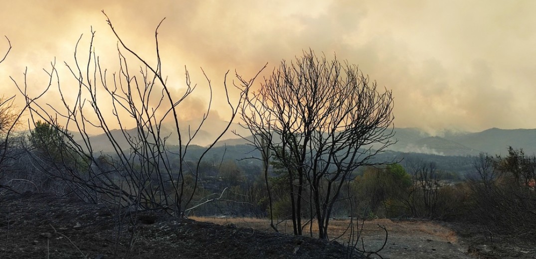 Φωτιές: Πάνω από 1,6 εκατ. στρέμματα έγιναν στάχτη φέτος - «Μαύρη» πρωτιά σε 20 μεσογειακές χώρες