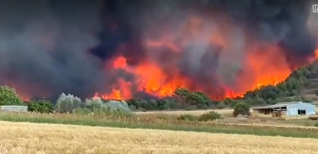 Περισσότερα από 617.000 στρέμματα κατέκαψε η πυρκαγιά στον Έβρο