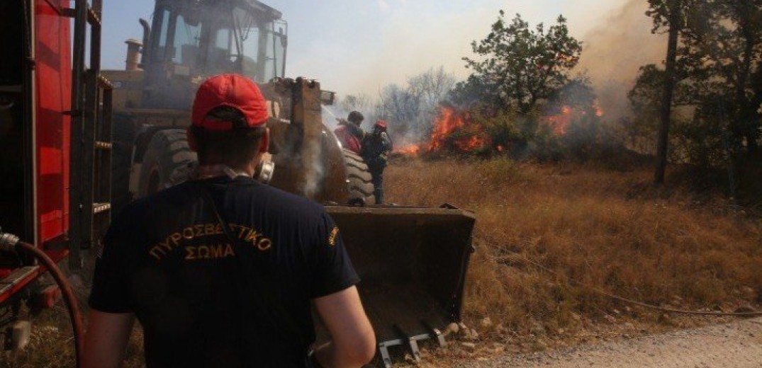 Φωτιά στην Αλεξανδρούπολη: Μάχη σε τρία μέτωπα - Νέες εκκενώσεις οικισμών