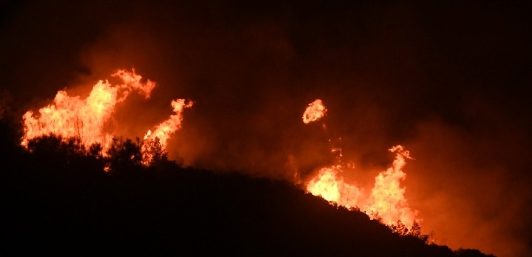 Αναζωπύρωση στα μέτωπα της φωτιάς στη Ροδόπη