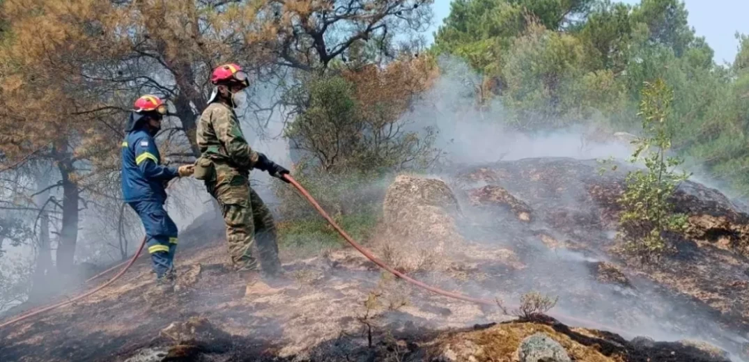 Έβρος: Δύο τα εναπομείναντα μέτωπα της πυρκαγιάς - Αυξημένες οι πυροσβεστικές δυνάμεις