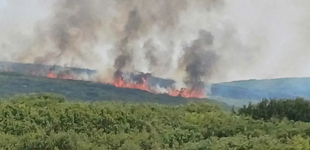 Φάρσαλα: Σε εξέλιξη φωτιά σε δασική έκταση στο Ναρθάκιο Όρος (βίντεο, φωτ.)