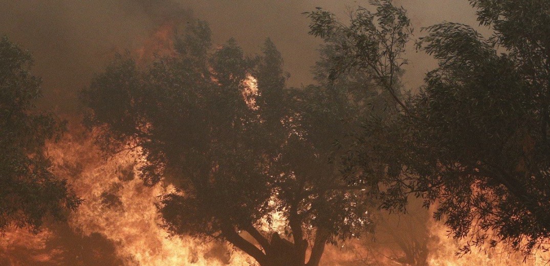 Δύσκολη η κατάσταση στη Φυλή - Νέες εκκενώσεις - Σε εξέλιξη η πυρκαγιά στον Ασπρόπυργο	