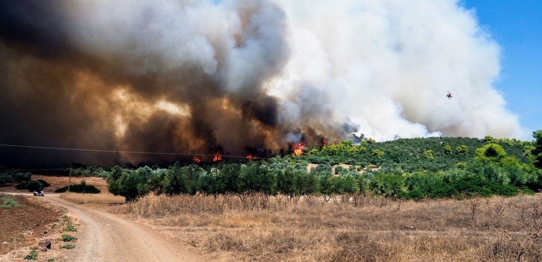 Εκτός ελέγχου η φωτιά στην Καβάλα - Έκλεισε η Εγνατία Οδός - Στο νοσοκομείο τέσσερις πυροσβέστες (βίντεο, φωτ.)