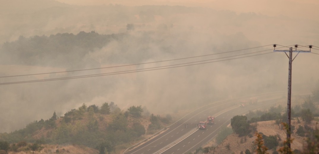 Φωτιά στο Δίστομο Βοιωτίας 