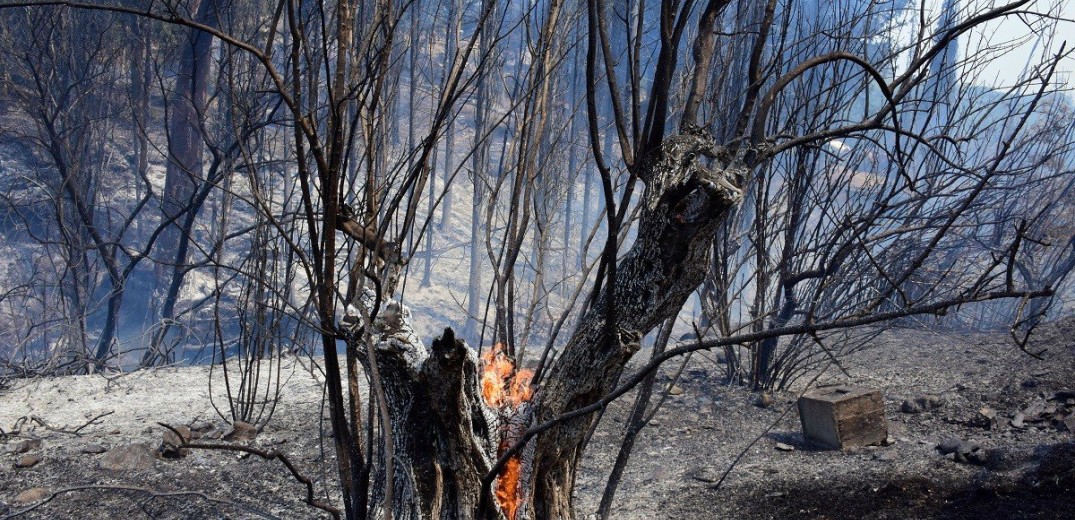 «Νόμιζα ότι ήρθε το τέλος - Έβλεπα παντού κόκκινο» συγκλονίζει οδηγός υδροφόρας στην Άνδρο (βίντεο)