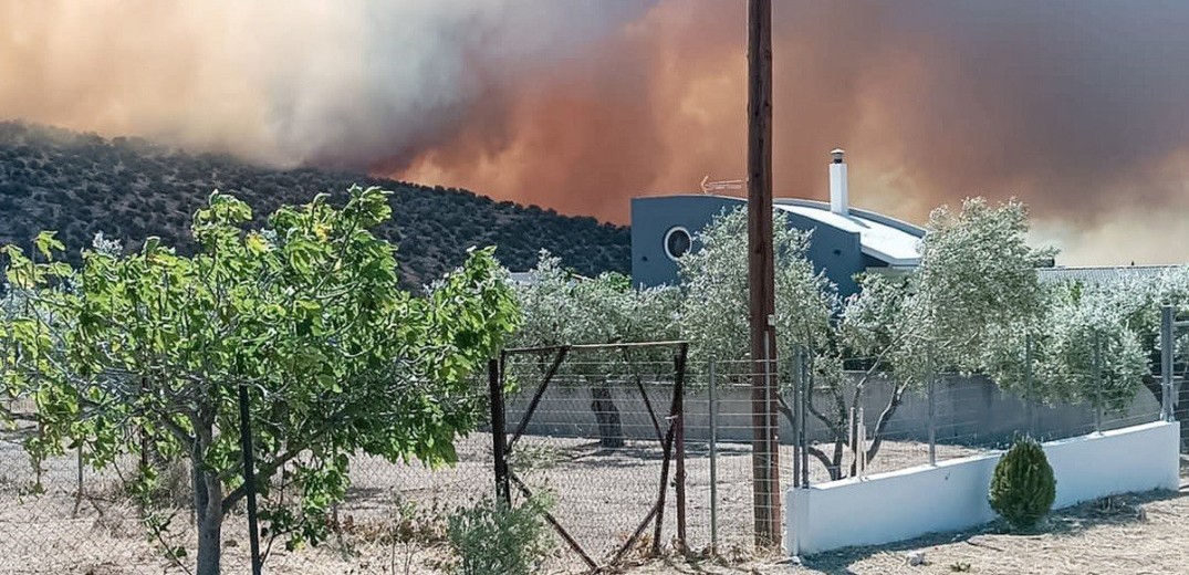 Φωτιά στη Φθιώτιδα: Ξαφνική νεροποντή στη Μακρακώμη - Τέθηκε υπό έλεγχο το μέτωπο