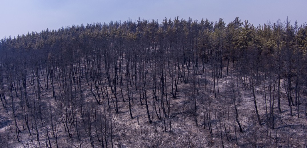 Τα 13 μέτρα στήριξης για τους πυρόπληκτους στον Έβρο