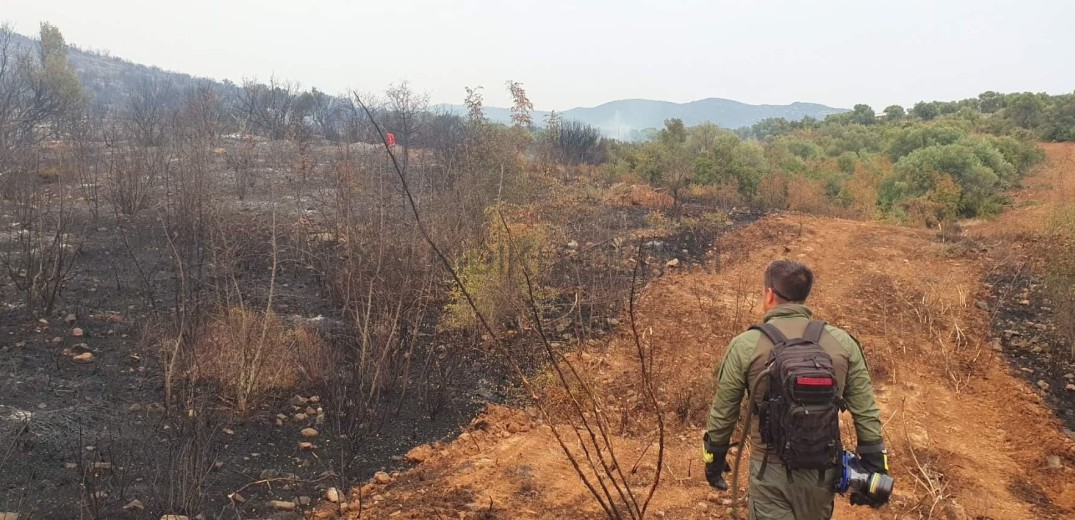 Φωτιά στον Πολύγυρο: «Η καμένη έκταση ήταν πλούσια σε άγρια πανίδα»