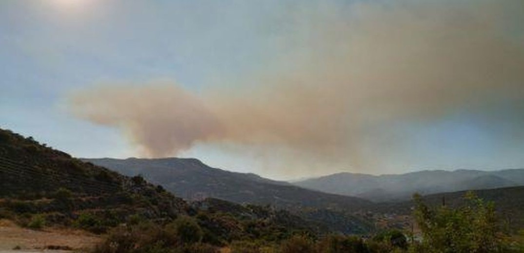 Φωτιά κοντά στο Βατοπέδι στην Ορμύλια Χαλκιδικής - Καθ&#x27; οδόν πυροσβεστικές δυνάμεις