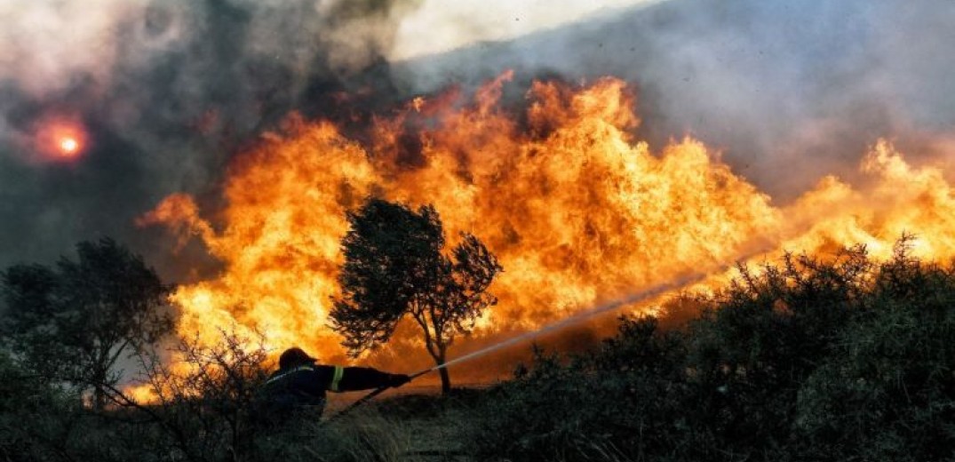 ΕΕ: Δορυφόροι για τον εντοπισμό κινδύνων στα ευρωπαϊκά δάση