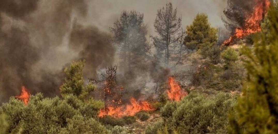 Πυροσβεστική: 61 αγροτοδασικές πυρκαγιές εκδηλώθηκαν μέσα σε ένα 24ωρο