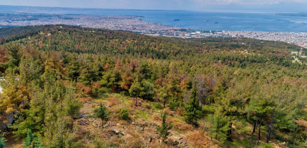 Θεσσαλονίκη - Σέιχ Σου: Απαγόρευση κυκλοφορίας μέχρι αύριο τα μεσάνυχτα