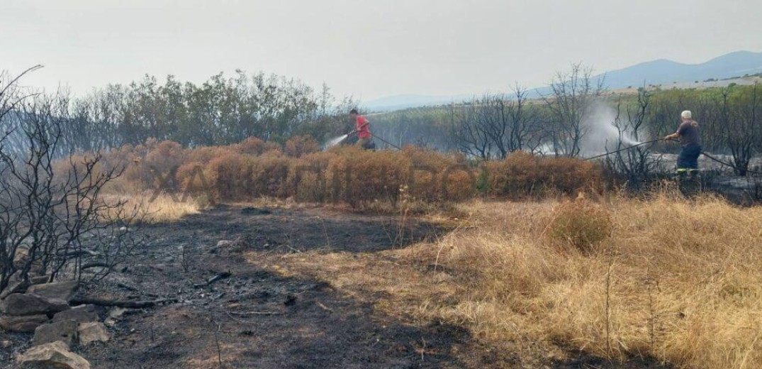 Λήξη συναγερμού στη Χαλκιδική - Υπό έλεγχο η φωτιά στην Όλυνθο (φωτ.)