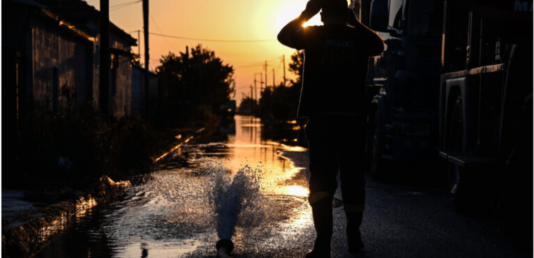 Καρδίτσα: Μάχη για να απομακρυνθούν τα νεκρά ζώα 