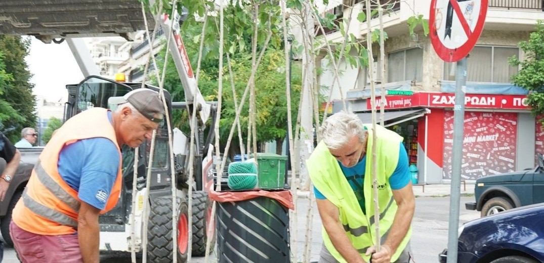 Θεσσαλονίκη: Δεντροφυτεύσεις στην Δ&#x27; Δημοτική Κοινότητα (φωτ.)