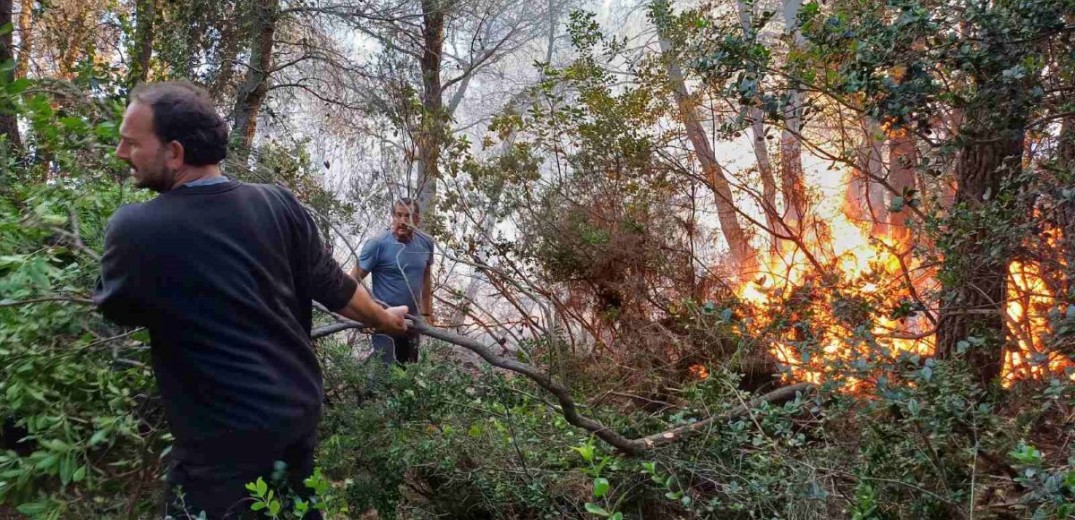 Υπό έλεγχο η φωτιά στο Βρωμονέρι Πηλίου - Επιχειρούν ισχυρές δυνάμεις της Πυροσβεστικής