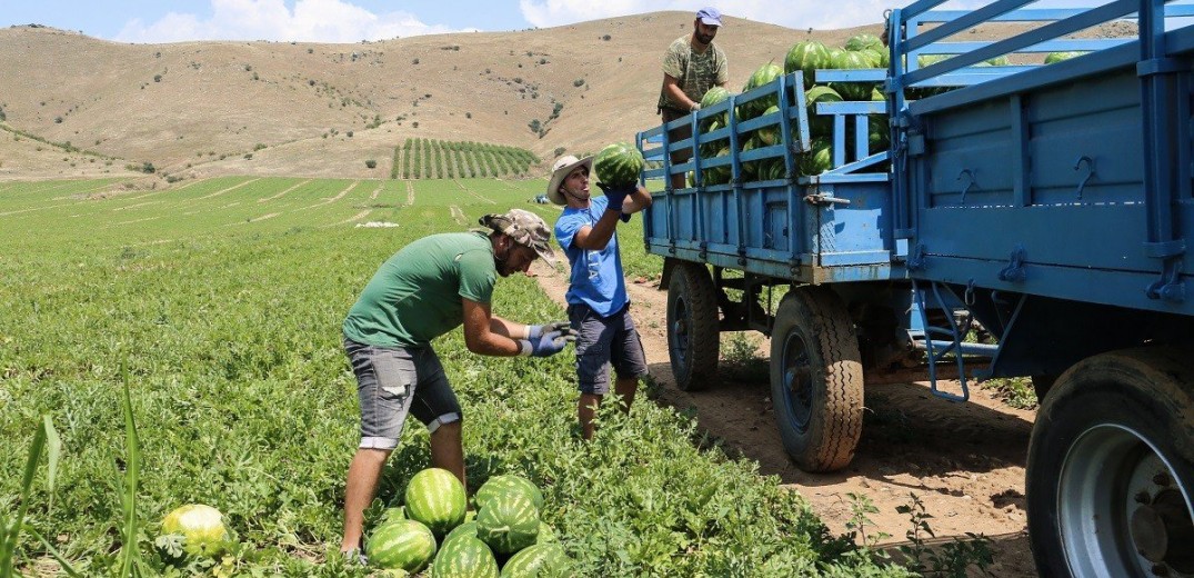 Έλλειψη 70.000 εργατών γης σε Ημαθία, Πέλλα, Χαλκιδική και Πιερία - SOS από τους αγρότες