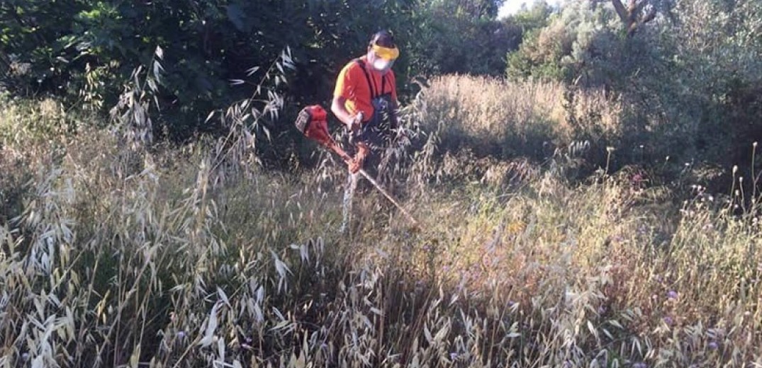 Θεσσαλονίκη: Πάνω από 620.000 δηλώσεις για καθαρισμούς οικοπέδων υποβλήθηκαν μέχρι χθες στην ειδική πλατφόρμα