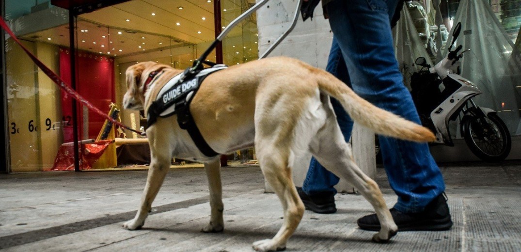 Σε λειτουργία, το Εθνικό Μητρώο Ζώων Συντροφιάς: Πρεμιέρα για το ﻿﻿pet.gov.gr