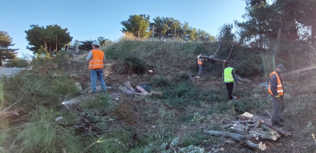 Flyover: Αναβλήθηκε η εξέταση από το ΣτΕ της προσφυγής για την υλοτόμηση