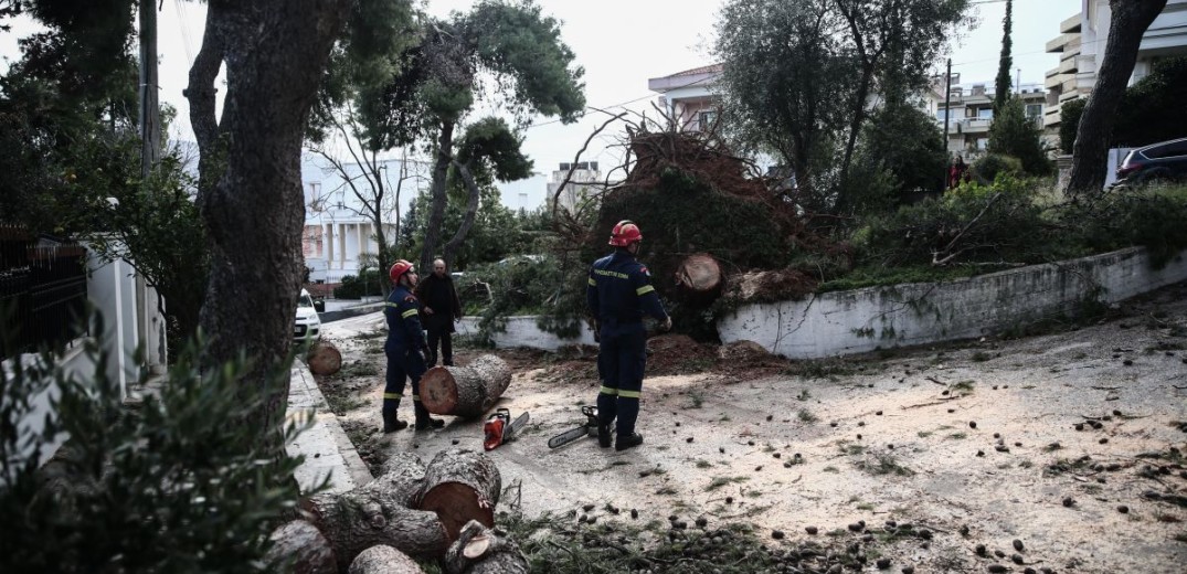 Πυροσβεστική: 485 κλήσεις έλαβε το Κέντρο Επιχειρήσεων για κοπές δέντρων - παροχή βοήθειας από χθες