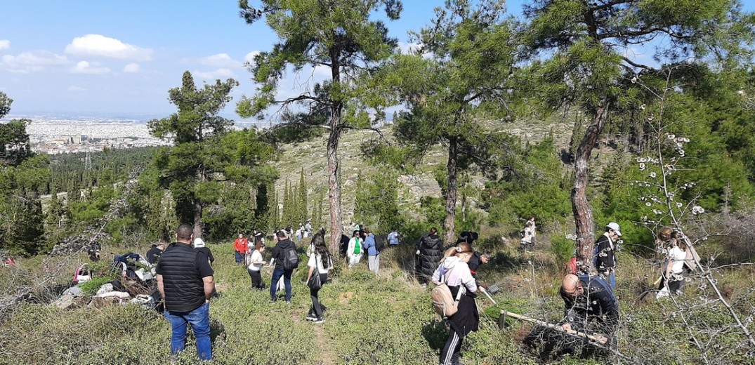 Θεσσαλονίκη: Δενδροφύτευση από μαθητές του αρμενικού σχολείου στο Σέιχ Σου