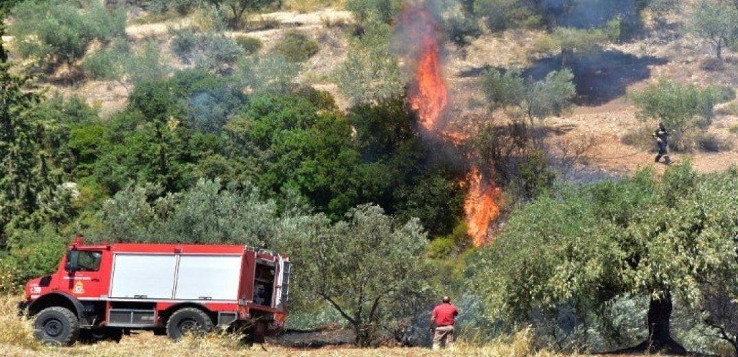 Σβήστηκε η φωτιά στη Βουρβουρού 