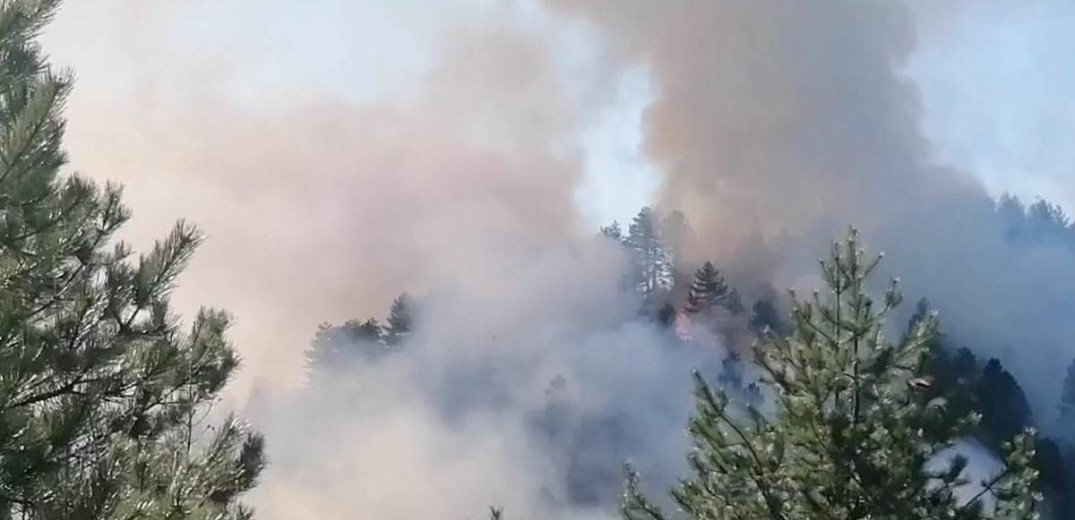 Ξέσπασε φωτιά στον Όλυμπο - Τέθηκε άμεσα υπό μερικό έλεγχο