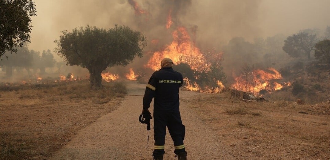 Πυρκαγιά σε δασική έκταση στο Μαυροβούνι Βοιωτίας