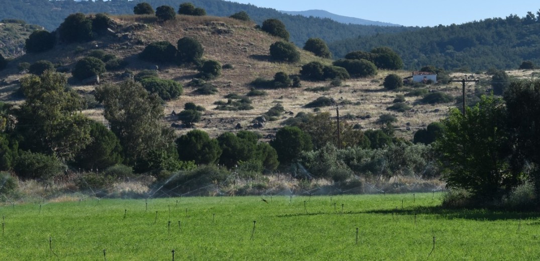 Μυτιλήνη: Ανασκαφές για να αναδειχθεί η αρχαία Αρίσβη