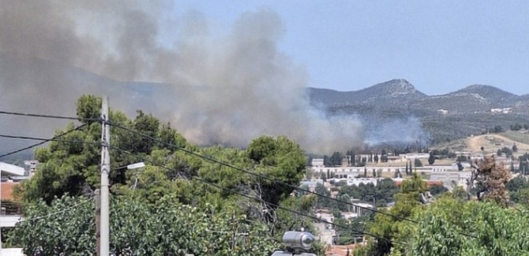 Οριοθετημένη και χωρίς ενεργό μέτωπο η πυρκαγιά σε δασική έκταση στον Ωρωπό (βίντεο)