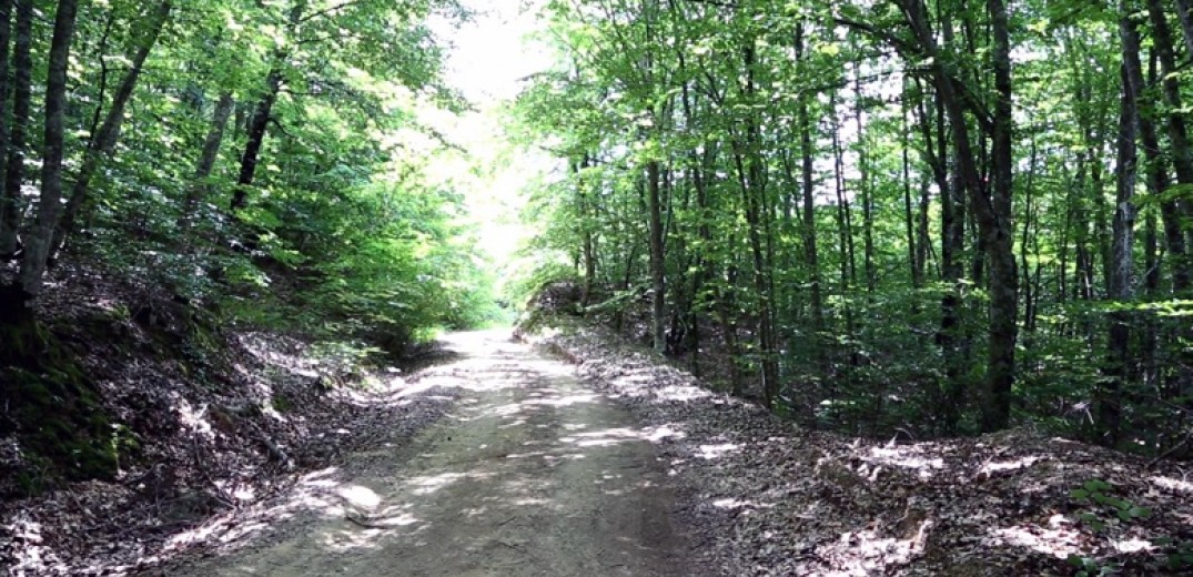 Χαλκιδική: O 3ος ορεινός αγώνας CHOLOMON TRAIL στον Πολύγυρο