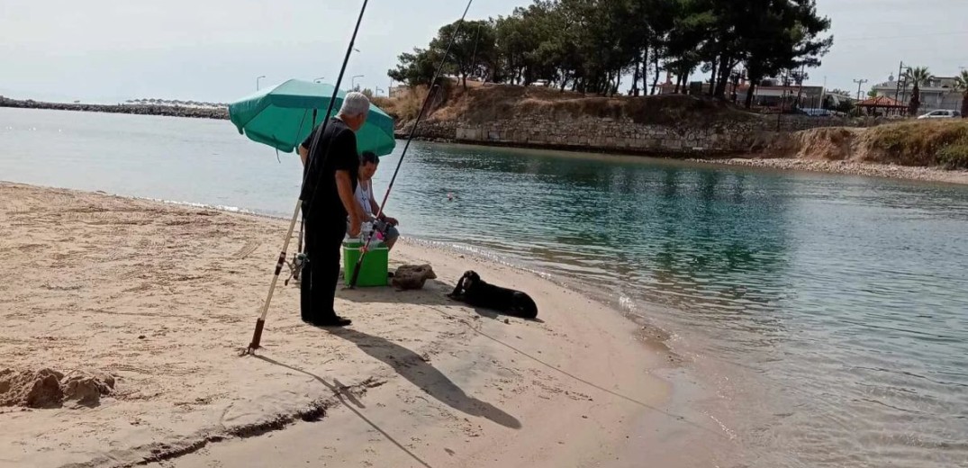 Χαλκιδική: Σκυλί εγκλωβίστηκε στη Διώρυγα της Ποτίδαιας - Το έσωσαν εθελοντές (φωτ.)