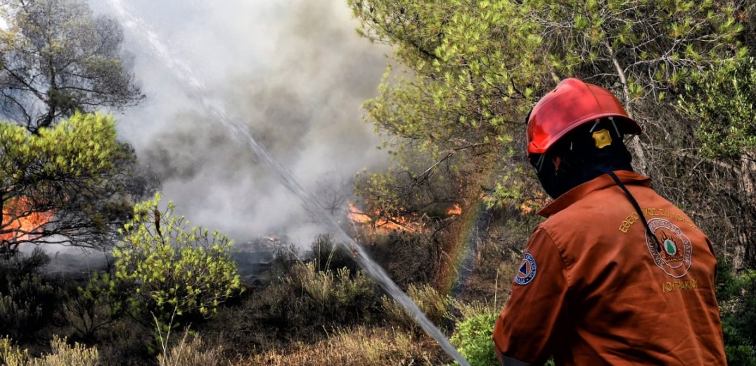 Φωτιά στη Χίο: Απειλούνται κατοικίες - Ενισχύθηκαν οι πυροσβεστικές δυνάμεις (βίντεο)