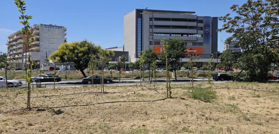Δήμος Θεσσαλονίκης: 6.000 νέα δέντρα, κλαδεύσεις και αναζήτηση χώρων για να «ανασάνει» η πόλη