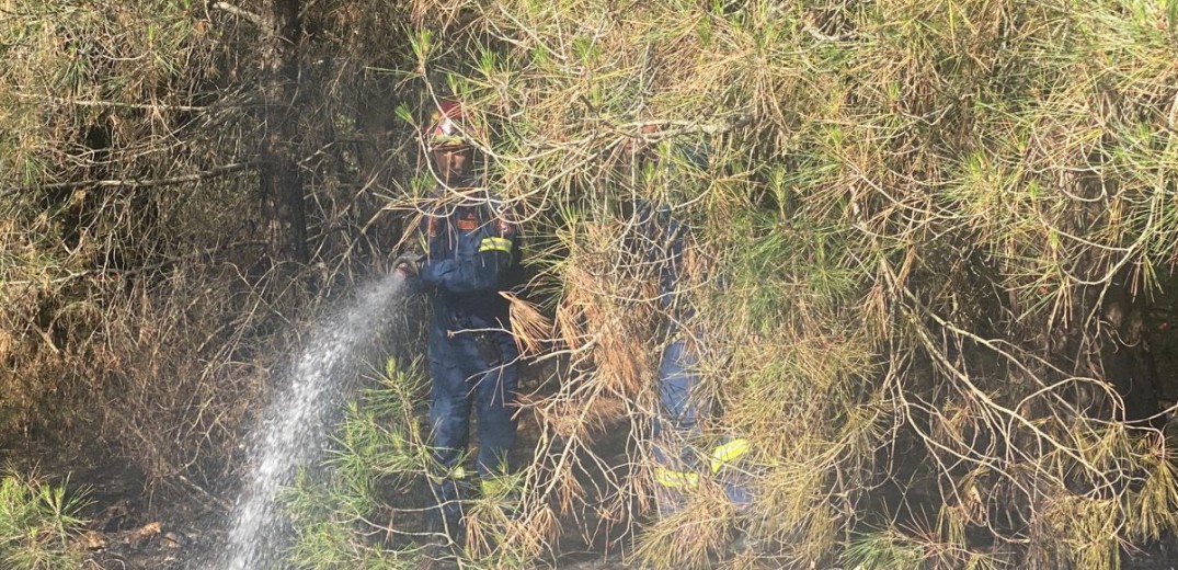 Λάρισα: Συναγερμός στην Πυροσβεστική για δύο εστίες φωτιάς σε Φάρσαλα και Ελασσόνα