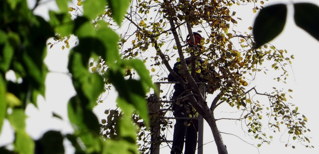 Ακίνητα: Το μπάχαλο με την πυροπροστασία έφερε «κούρεμα» στα μέτρα