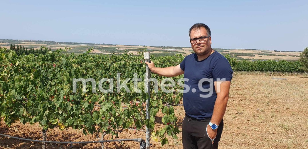 Γιώργος Γρηγοριάδης: Ο οινοποιός που έφερε τη Barbera στην Ελλάδα και στη Χαλκιδική