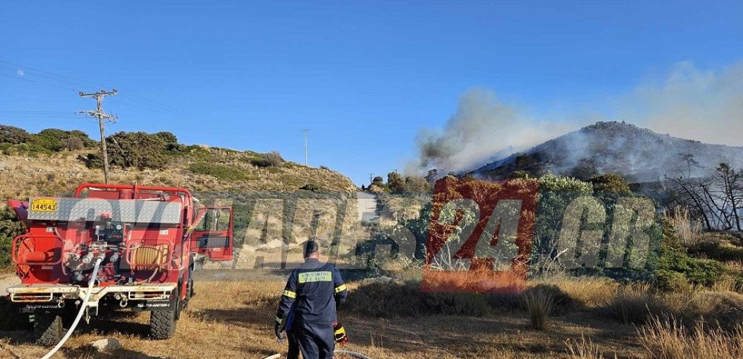 Ξέσπασε πυρκαγιά στη Μήλο - Εκκενώθηκε παραλία μετά από μήνυμα του 112 (βίντεο)