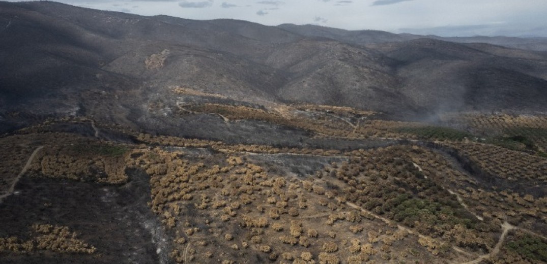 Αλεξανδρούπολη: Η συμβολή του Δημοκρίτειου Πανεπιστήμιου Θράκης στην προσπάθεια ανασυγκρότησης του Έβρου