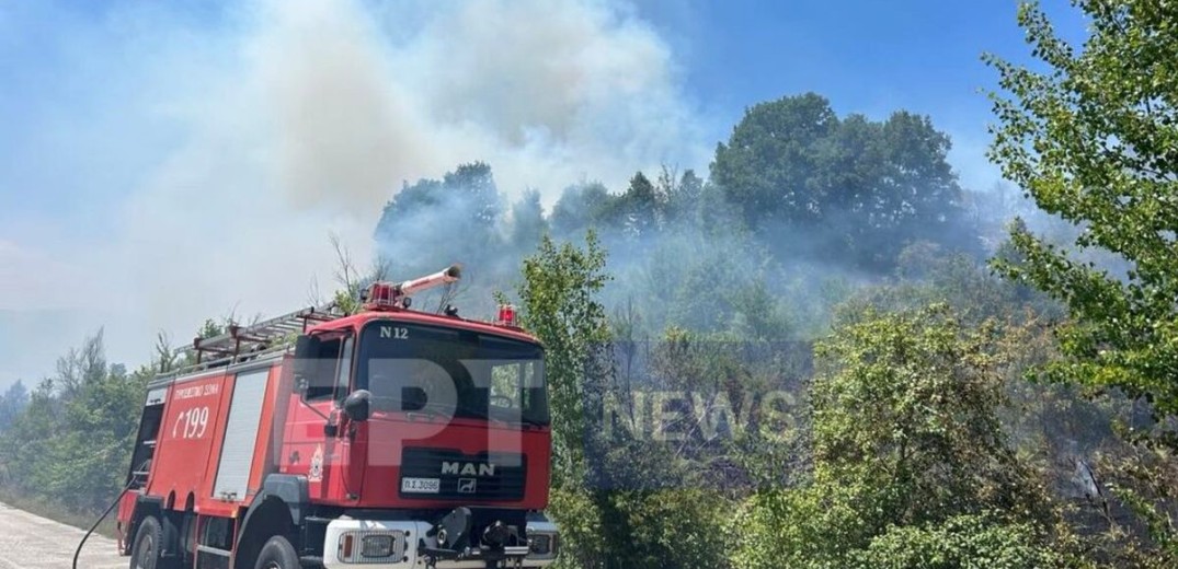 Καστοριά: Πυρκαγιά σε δασική έκταση μεταξύ των χωριών Μελάνθιο και Νεστόριο - Αναζητείται λευκό βανάκι (φωτ.)