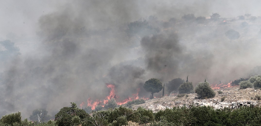 Φωτιά στα Νέα Ρόδα Χαλκιδικής