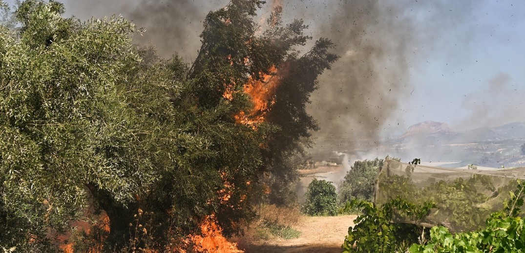 Ροδόπη: Στις αυλές σπιτιών η φωτιά στα Αμπελάκια - Ήχησε το 112