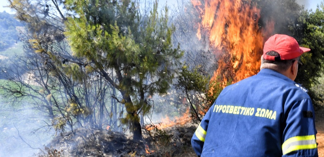 Φλώρινα: Υπό μερικό έλεγχο η πυρκαγιά σε δασική έκταση κοντά στο Βαρικό